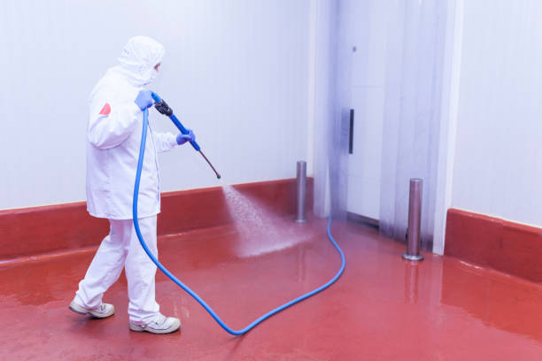 Best Oil and Grease Removal from Surfaces in Canutillo, TX